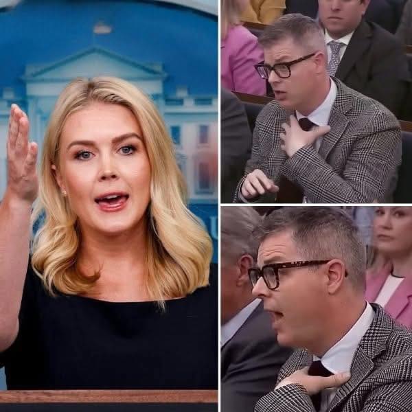 LIVE TV MELTDOWN! A veteran reporter just torched their own career after dropping a jaw-dropping insult on Karoline Leavitt.