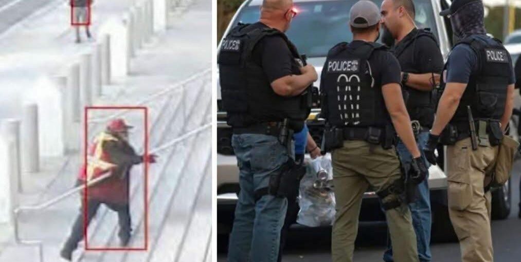 ICE Arrests Man Accused of Throwing Molotov Cocktails at Federal Officers in Los Angeles