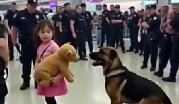 K9 Dog Barks at a Family in the Airport — What They Discover Leaves Everyone Stunned