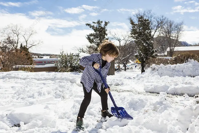 He Cleared an Elderly Neighbor’s Snow — Her Unexpected Gift Touched the Whole Community
